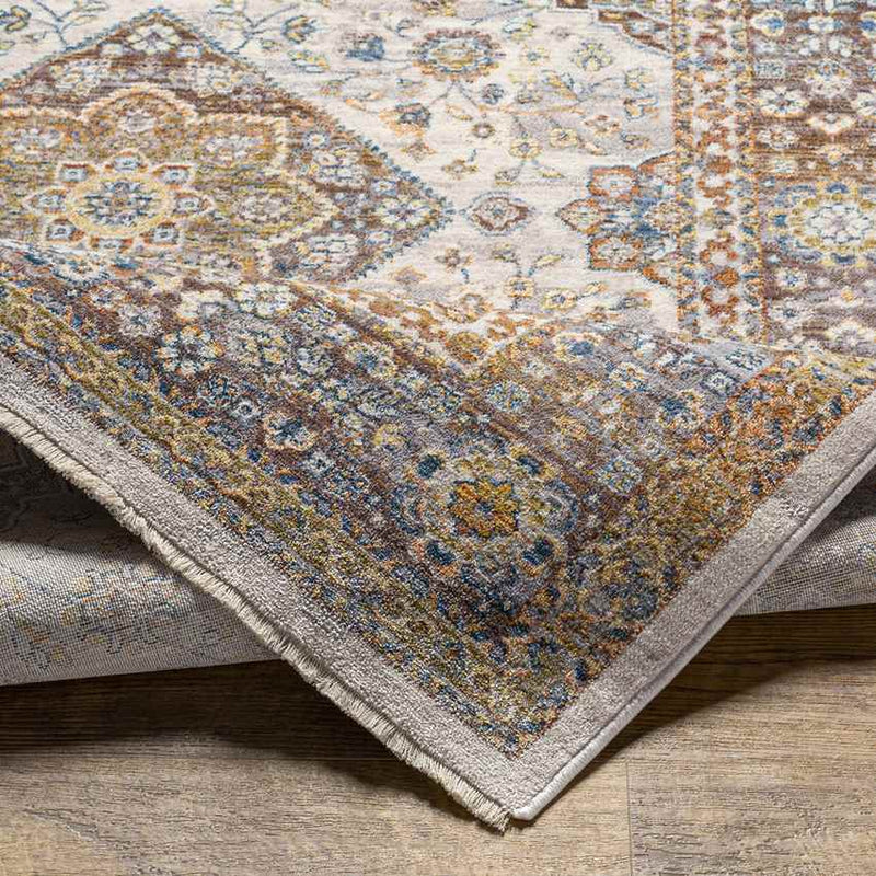 Wonder Lake Traditional Burnt Orange Area Rug