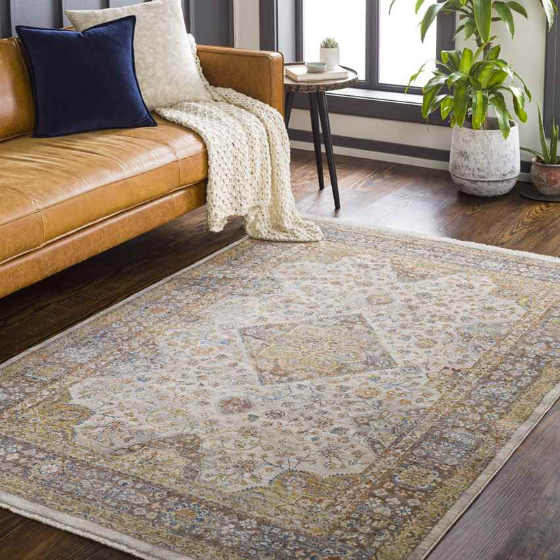 Wonder Lake Traditional Burnt Orange Area Rug