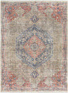Pittsboro Traditional Taupe Area Rug
