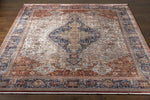 Poseyville Traditional Burnt Orange Area Rug