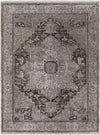 Pierceton Traditional Hickory Area Rug