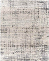 Indian Head Park Modern Light Gray Area Rug