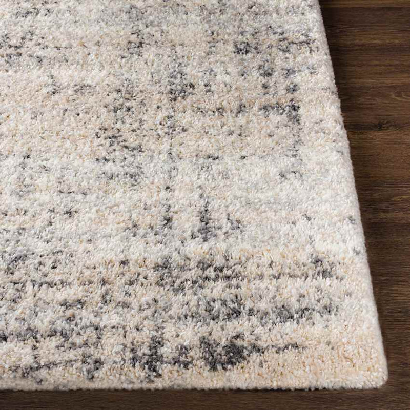 Indian Head Park Modern Light Gray Area Rug