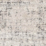 Indian Head Park Modern Light Gray Area Rug