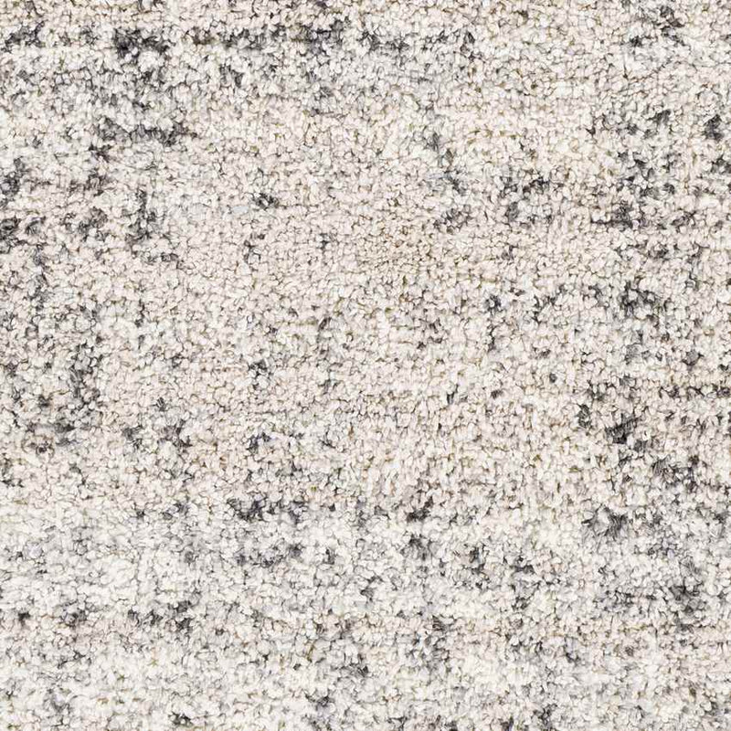 Indian Head Park Modern Light Gray Area Rug