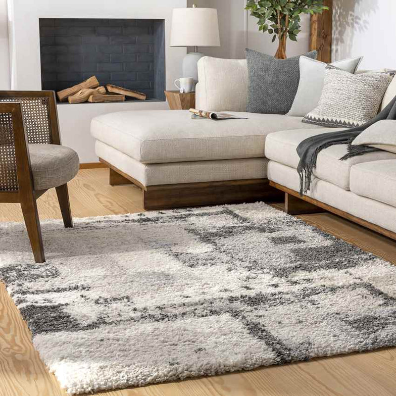 La Moille Modern Charcoal Area Rug