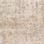 Brazil Modern Tan Area Rug