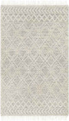 Zionsville Global Beige Area Rug