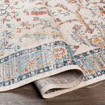 Alta Traditional Burnt Orange Area Rug