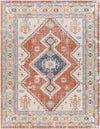 Bone Gap Global Burnt Orange Area Rug