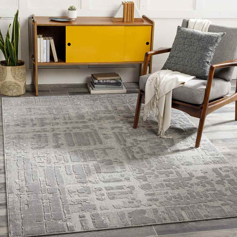 Kewanna Modern Silver Gray Area Rug