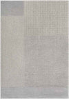 Laconia Modern Medium Gray Area Rug
