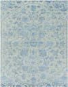 Bedworth Traditional Light Blue Area Rug