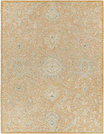 East Chicago Traditional Burnt Orange Area Rug
