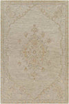 Logansport Traditional Beige Area Rug