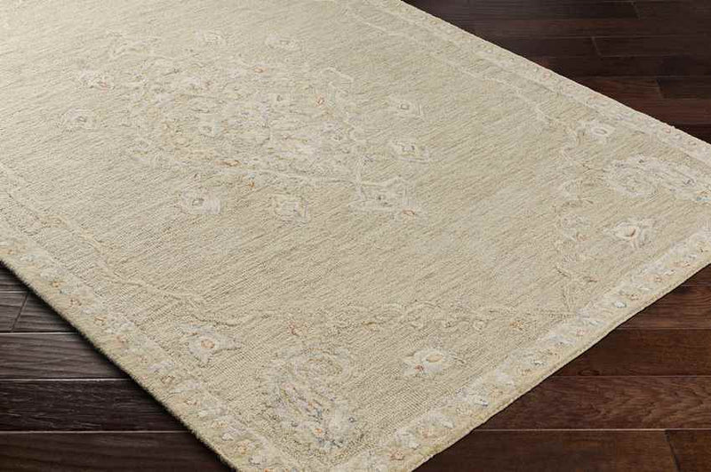 Logansport Traditional Beige Area Rug