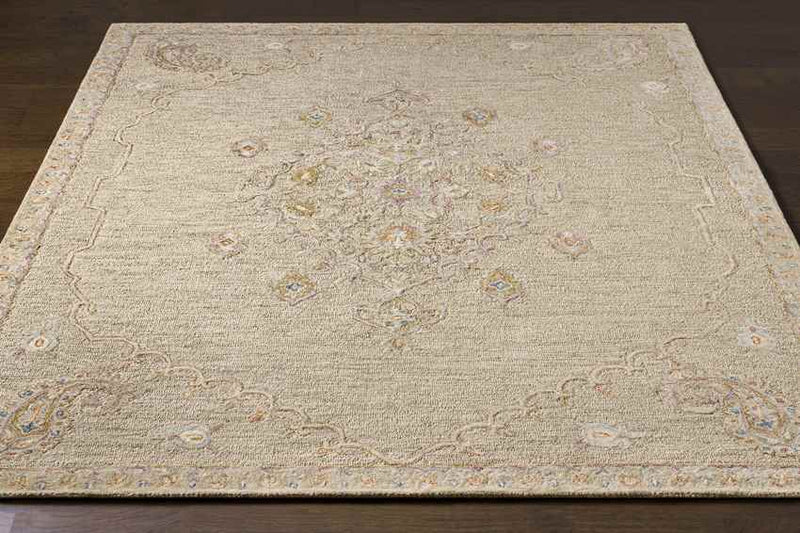 Logansport Traditional Beige Area Rug