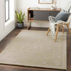 Logansport Traditional Beige Area Rug