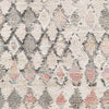 New Amsterdam Global Light Gray Area Rug