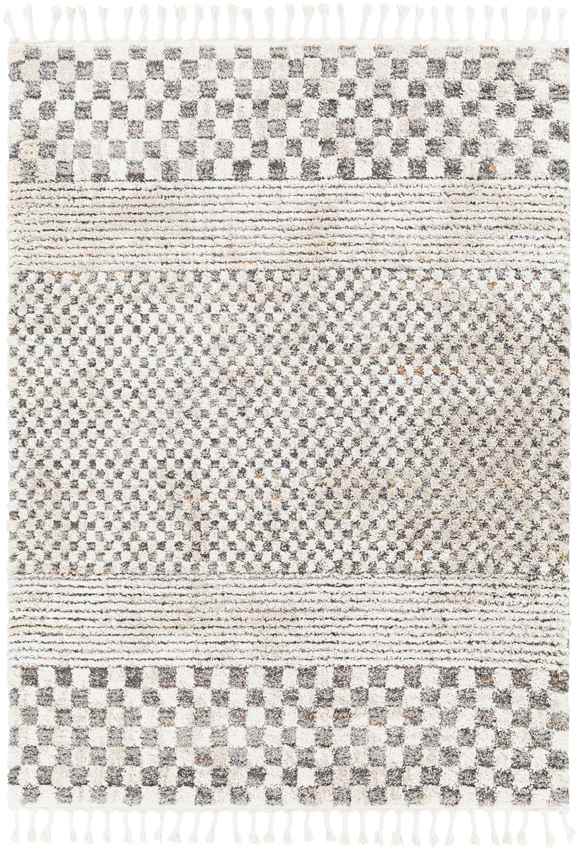 New Point Modern Ivory Area Rug