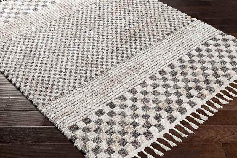 New Point Modern Ivory Area Rug