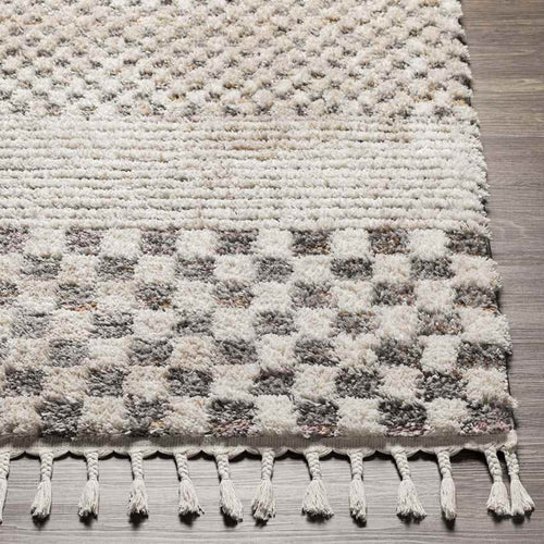 New Point Modern Ivory Area Rug