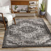 New Ross Traditional Charcoal Area Rug