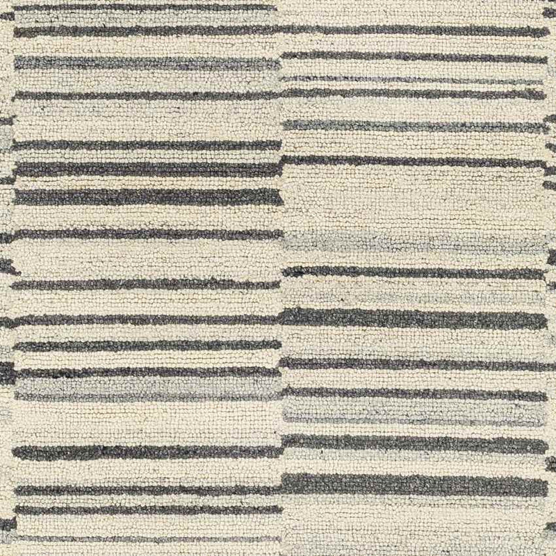 Shipshewana Modern Beige Area Rug