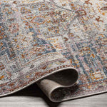Glendale Heights Traditional Burnt Orange Area Rug