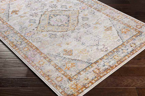 Grand Tower Traditional Tangerine Area Rug