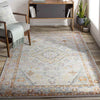 Grand Tower Traditional Tangerine Area Rug