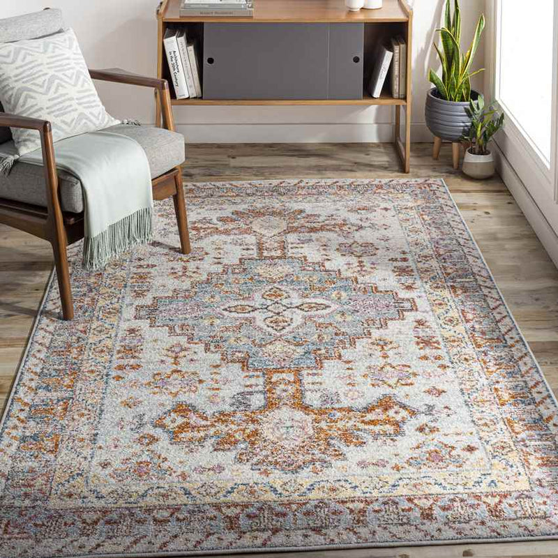 Hoyt Traditional Burnt Orange Area Rug