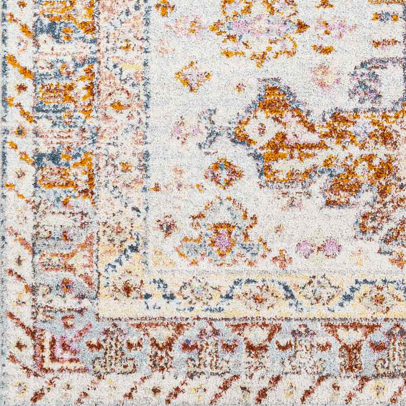 Hoyt Traditional Burnt Orange Area Rug