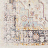 Hanover Park Traditional Beige Area Rug