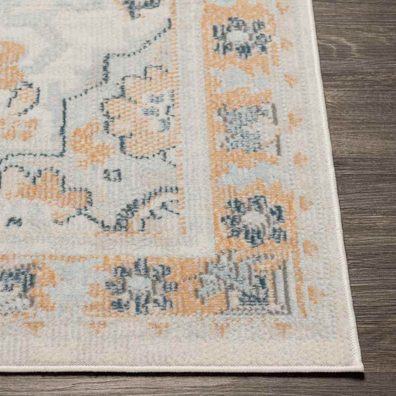 Crystal Lake Traditional Burnt Orange Area Rug