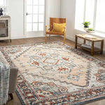 Ambia Traditional Peach Area Rug