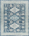 Avilla Traditional Teal Area Rug