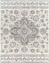 Beverly Shores Traditional Gray Area Rug