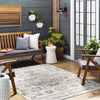 Beverly Shores Traditional Gray Area Rug