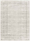 Bloomfield Global Light Gray Area Rug