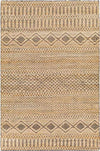 Beech Grove Global Tan Area Rug