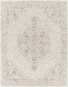 Warren Park Traditional Ivory Area Rug