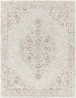 Warren Park Traditional Ivory Area Rug