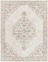 Warren Park Traditional Beige Area Rug
