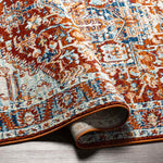 Cannelburg Traditional Garnet Area Rug
