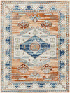 Cayuga Traditional Burnt Orange Area Rug