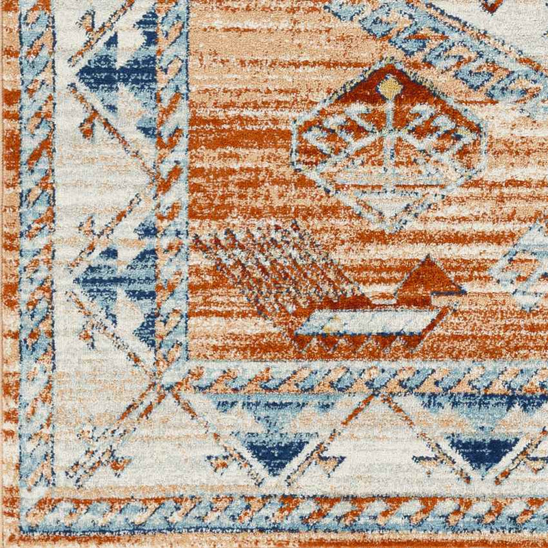 Cayuga Traditional Burnt Orange Area Rug