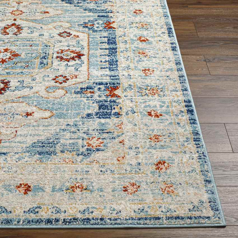 Cedar Lake Traditional Blue Area Rug