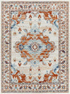 Mhilea Traditional Burnt Orange Area Rug