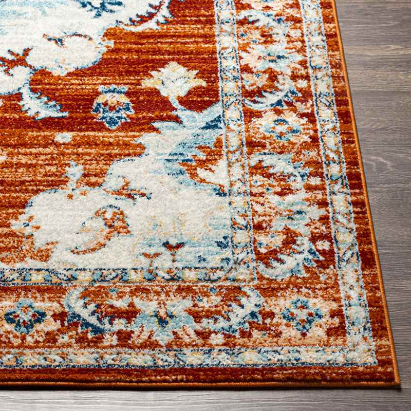 Mhilea Traditional Tangerine Area Rug